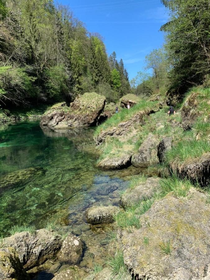 Ferienhaeuschen Am Traunsee Mit Tretboot Zur Freien Nutzung Am Badeplatz Altmünster Dış mekan fotoğraf