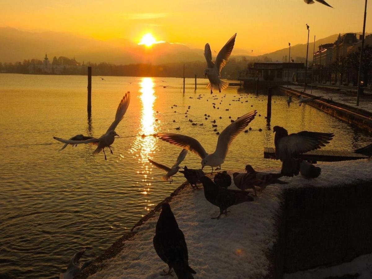 Ferienhaeuschen Am Traunsee Mit Tretboot Zur Freien Nutzung Am Badeplatz Altmünster Dış mekan fotoğraf
