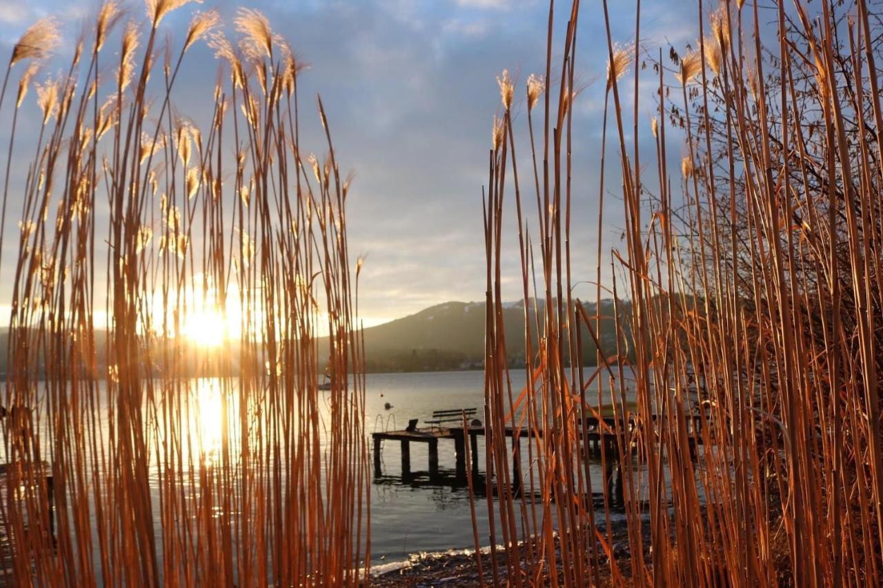Ferienhaeuschen Am Traunsee Mit Tretboot Zur Freien Nutzung Am Badeplatz Altmünster Dış mekan fotoğraf